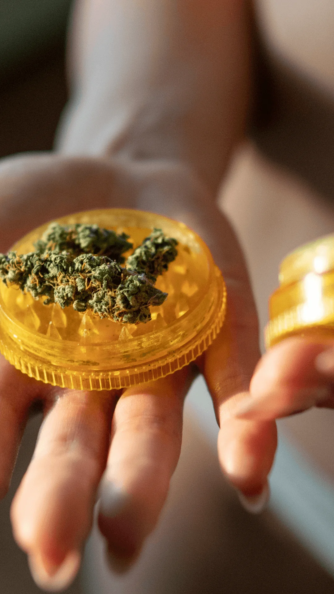 Product In Hand