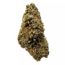 Gelato #33 Premium Flower