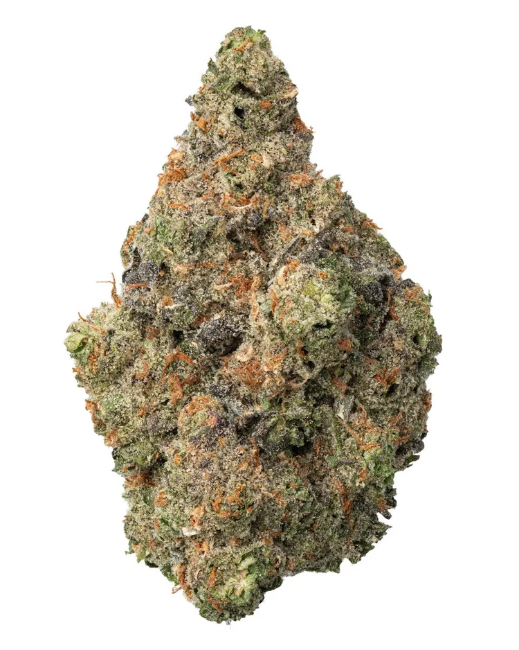 ITALIAN ICE HYBRID