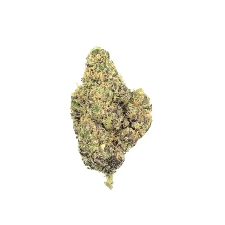 NORTHERN LIGHTS INDICA